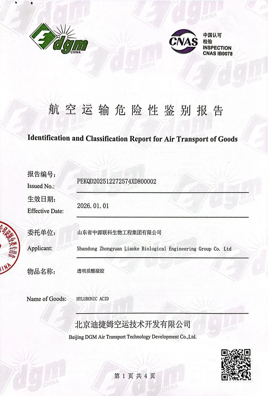 Air Transport Safety — DGM Cargo Classification Report